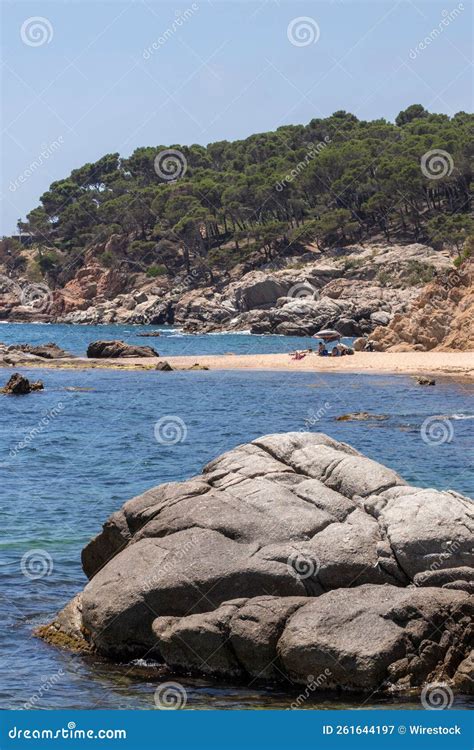 Sesso eccitante in una spiaggia nudista